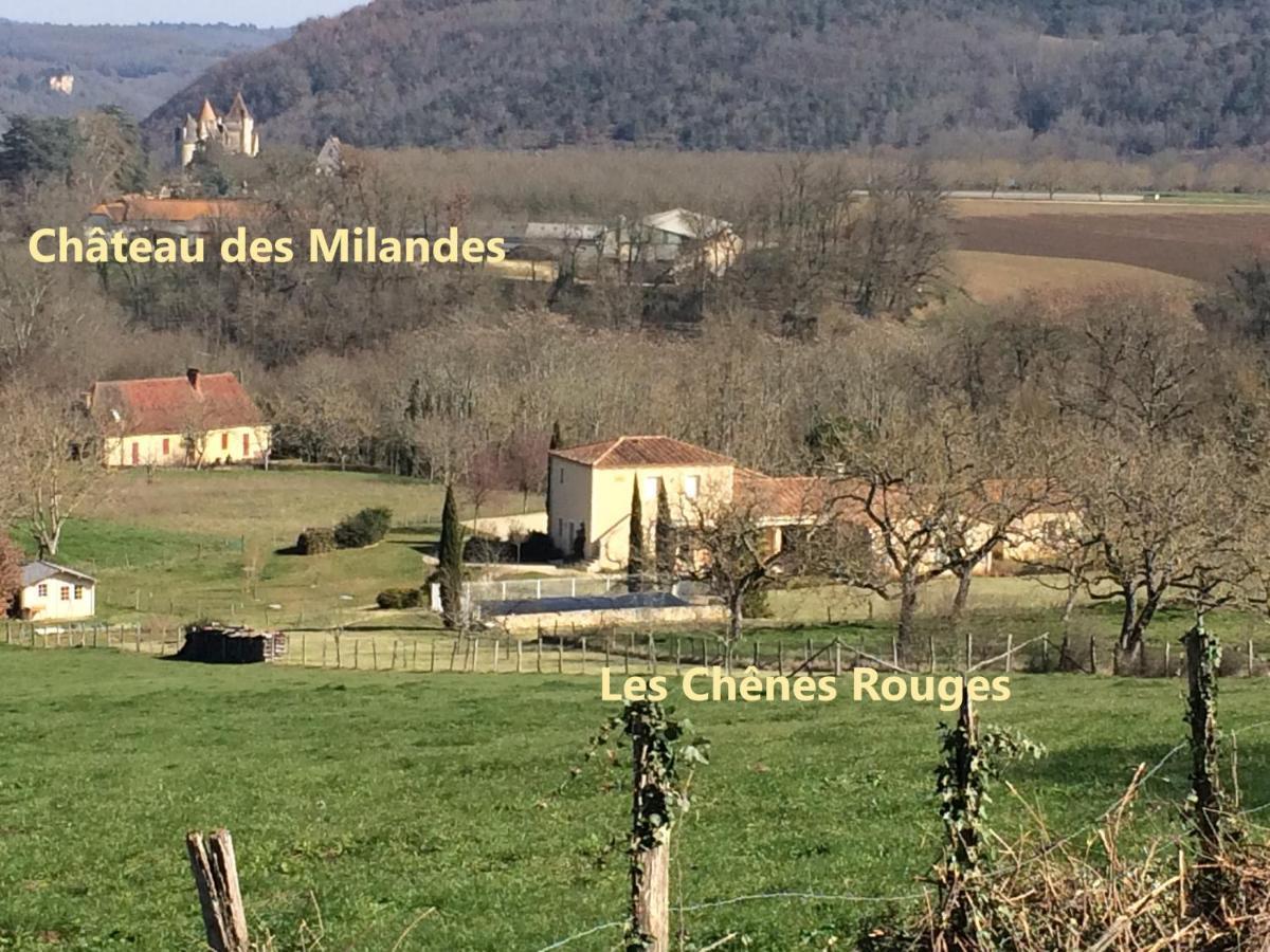 Les Chenes Rouges Bed and Breakfast Veyrines-de-Domme Esterno foto